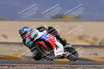 media/Nov-05-2022-SoCal Trackdays (Sat) [[f8d9b725ab]]/Turn 4 Tree of Life (125pm)/